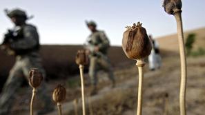 Svet so v zadnjih letih preplavili opijati iz Afganistana.