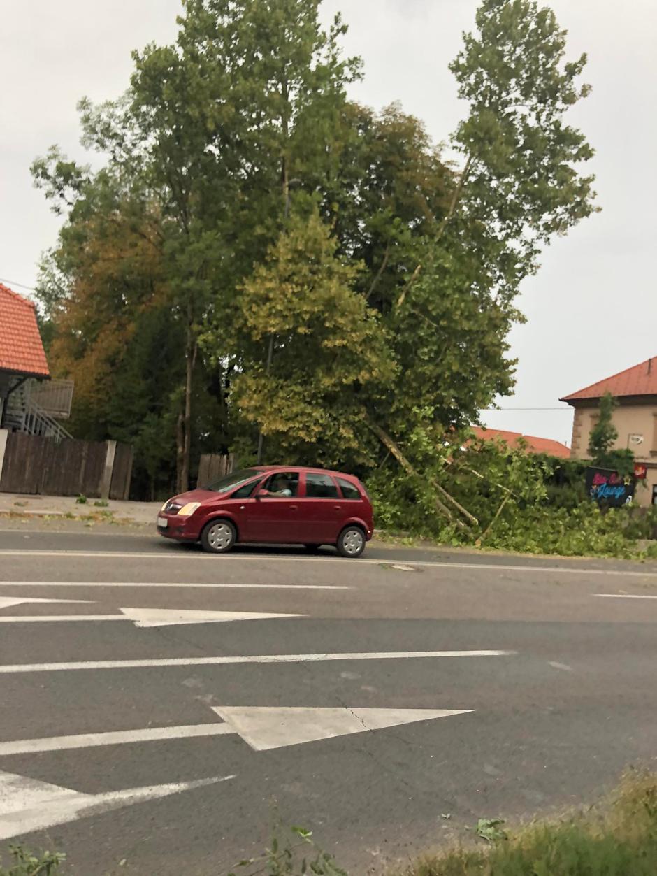 Veter v Ljubljani | Avtor: Bralka