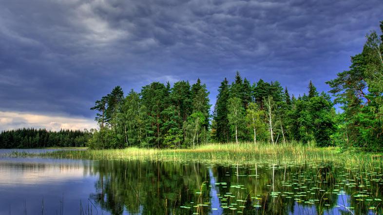 Nekje sredi gozdov na severu Švedske naj bi se skrivalo mesto lezbijk. A se seve