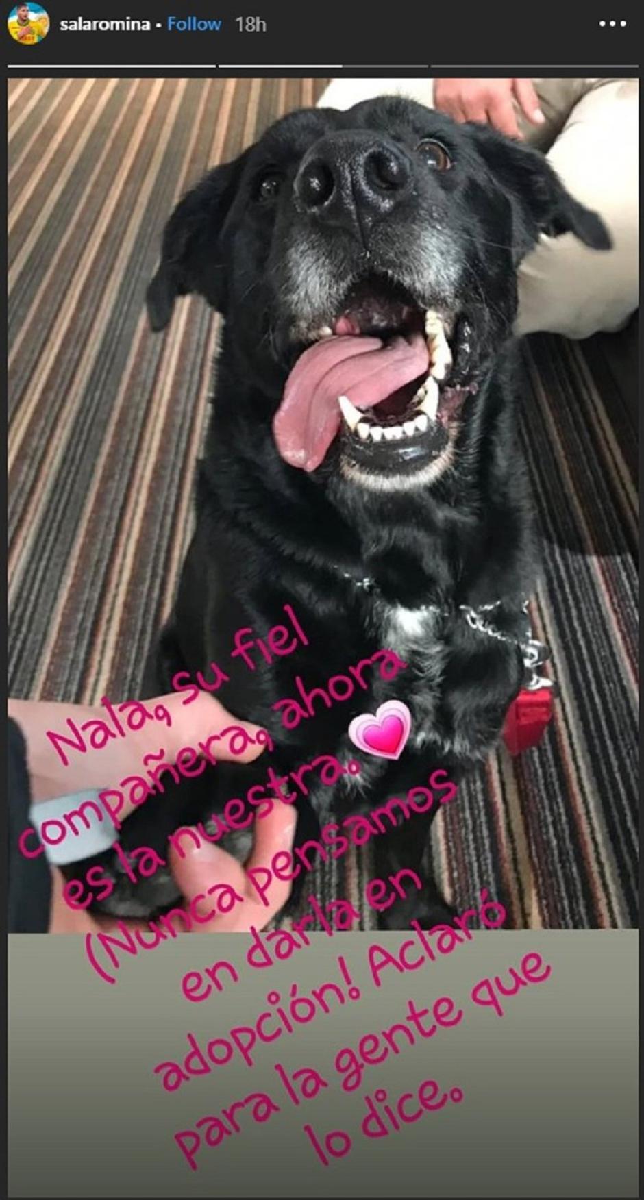 Emiliano Sala pes | Avtor: Instagram