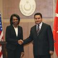 Riceova in turški zunanji minister Ali Babacan sta si obljubila sodelovanje.