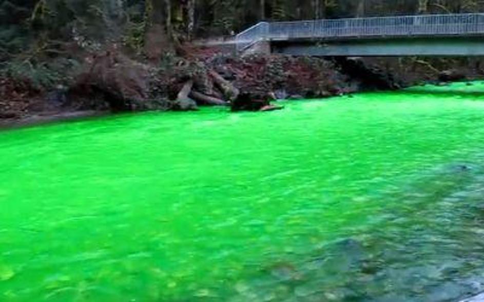 Reka je čez noč postala živo zelene barve. (Foto: Youtube)