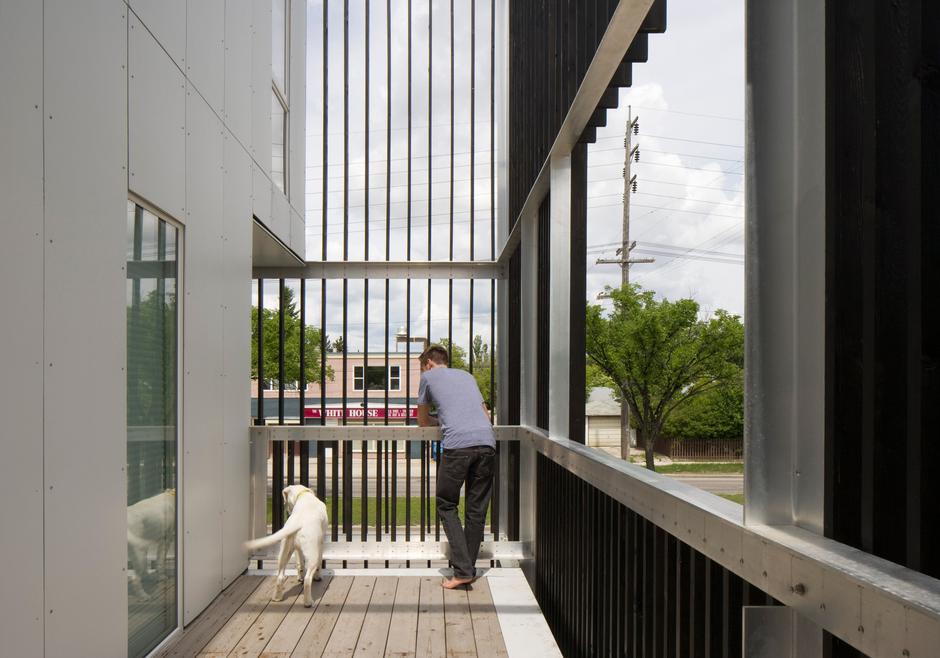 Pes v bloku | Avtor: Profimedia