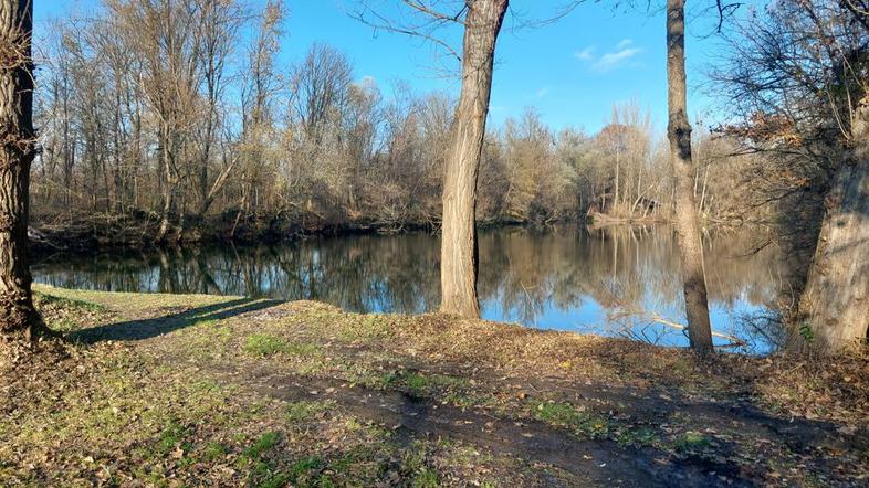 gramoznica v Bakovcih