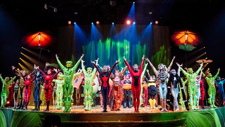 Cirque du Soleil, OVO