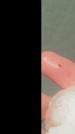 Vreme: Arso izdal opozorilo. Osvežena napoved, tako se bo gibalo.- Toča