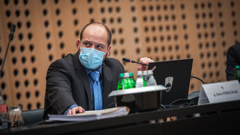 Vlada RS Janez Poklukar