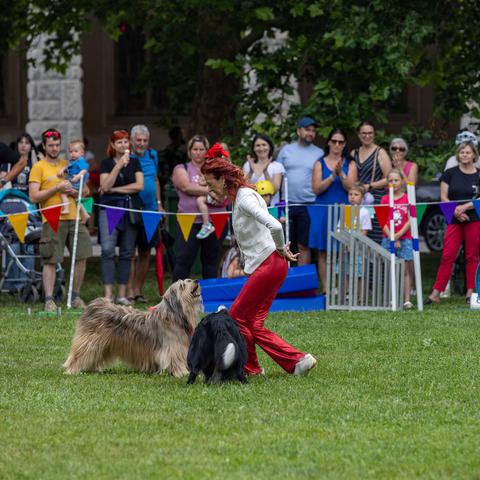 Festival za ljubitelje živali 2026