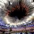 london olimpijske igre 2012