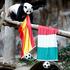 Ching Hui panda Tajska Španija Italija finale Euro 2012
