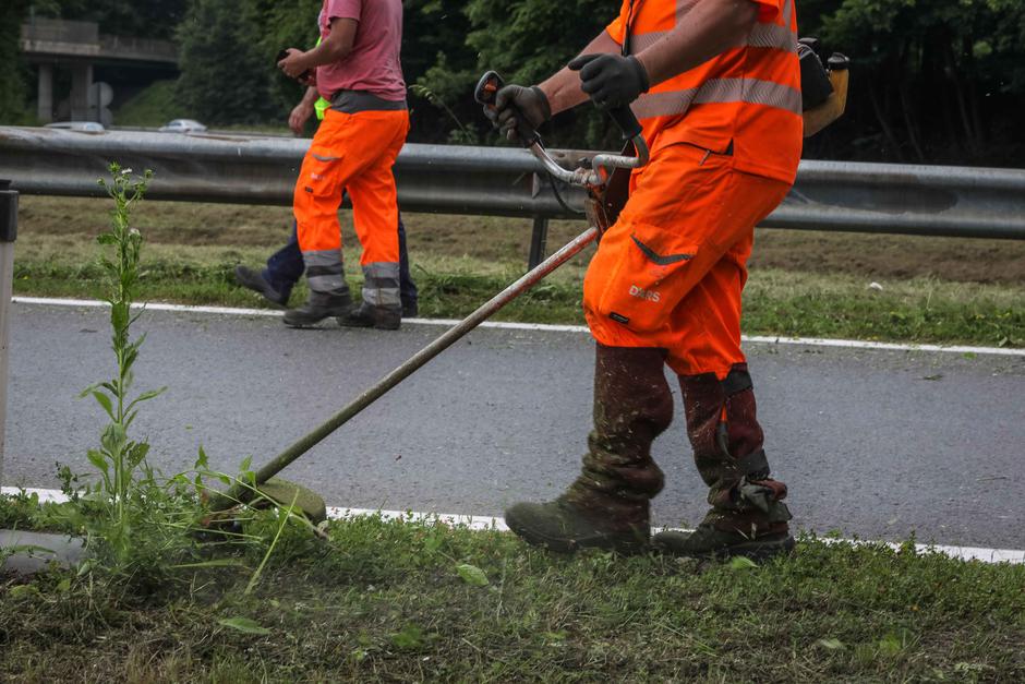 DARS | Avtor: Saša Despot