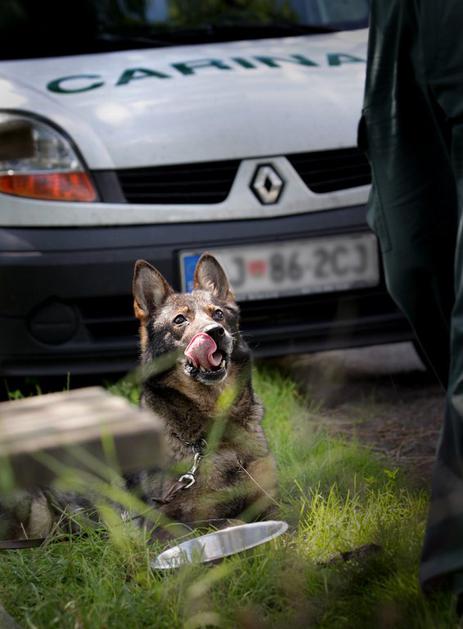 Mobilna enota carine 