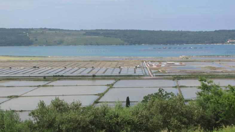 Pogled na Sečoveljske soline  ...