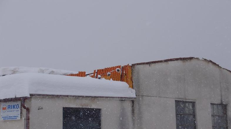 Riko Ribnica, podrta streha