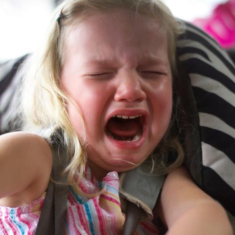 deklica v otroškem sedežu kriči in joče