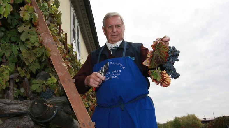Festival Stare trte je po mnenju organizatorjev vrhunski turistični vinsko-kulin