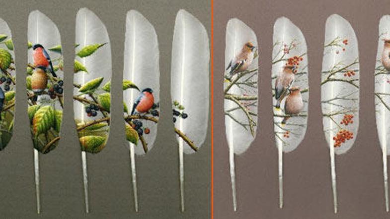 Davisove slike na labodjem perju