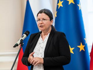 Katja Kokot, Resnica, vodja poslanske skupine