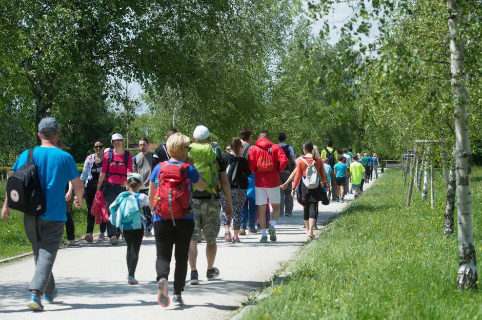 pot ob žici | Avtor: Anže Petkovšek