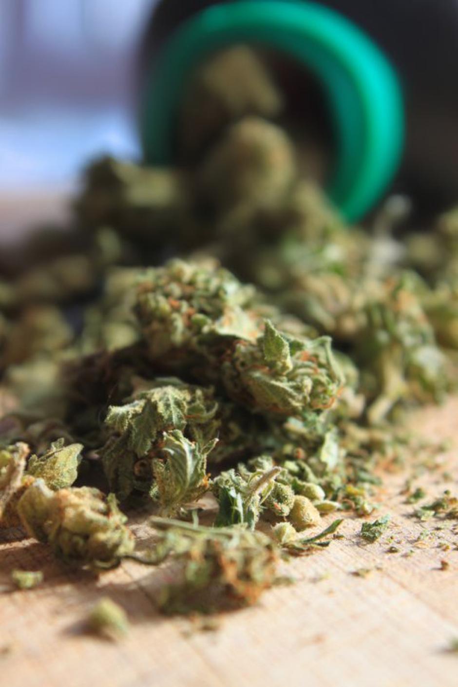 marihuana | Avtor: Shutterstock