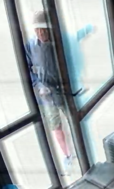 Rop menjalnice v Kopru