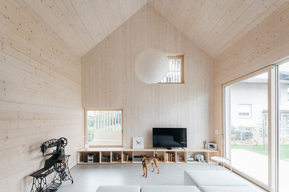 ohs | Avtor: Ana Skobe