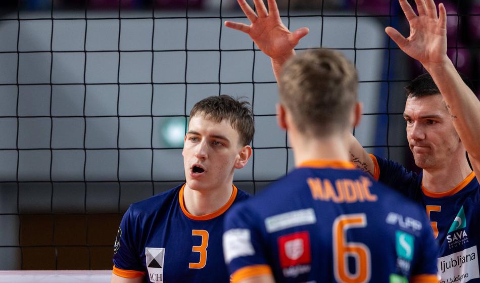 Oranžni zmaji brez ognja, v Ljubljani za preživetje