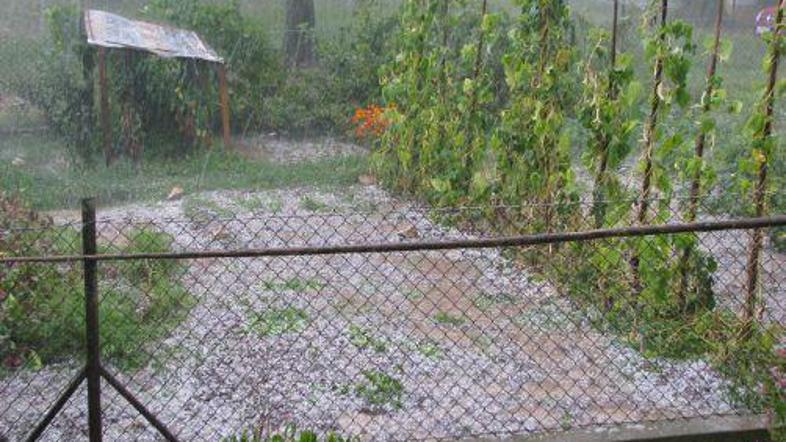 Tudi v Velikih Laščah je padala toča, ki pa tako kot drugod na širšem območju Žu