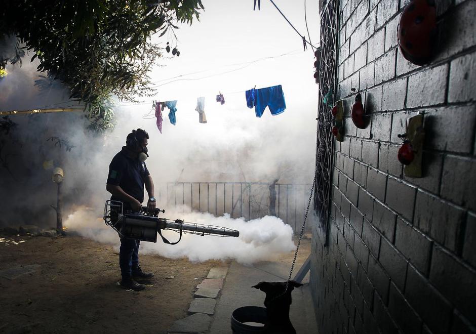 Zika virus | Avtor: EPA