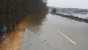 Reka Krka spet poplavlja.