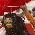 Ivan fandino, matador