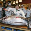 Japonska ribja tržnica