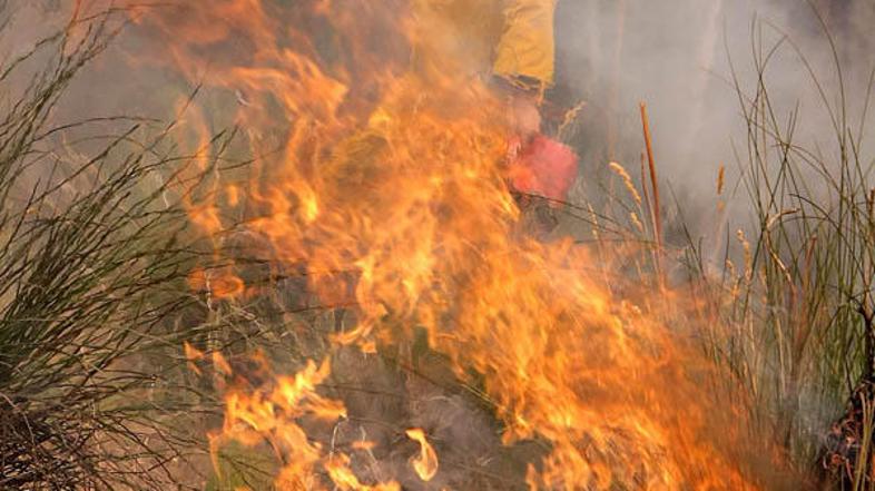 Nov sistem je oblikovan tako, da ljudi predčasno opozarja, naj zapustijo svoje d