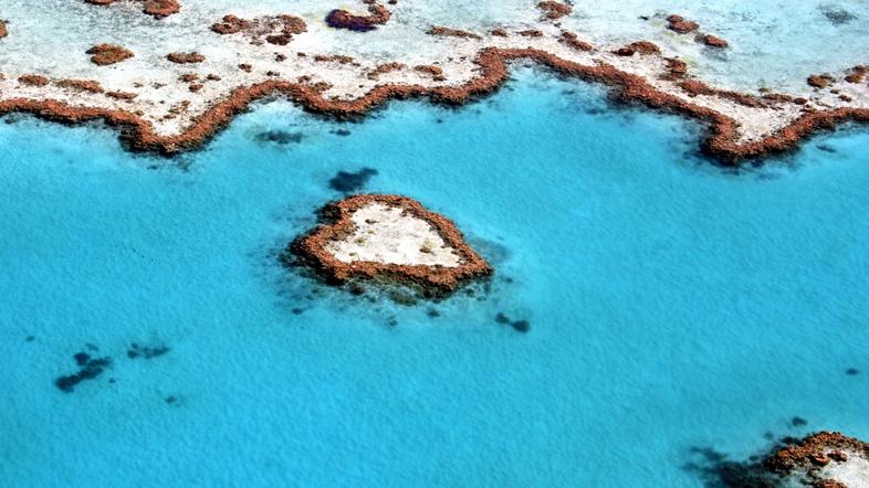 Veliki koralni greben, Heart Reef