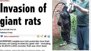 Britanski tabloid je poleg zgodbe objavil tudi fotografije ubite živali. (Foto: 