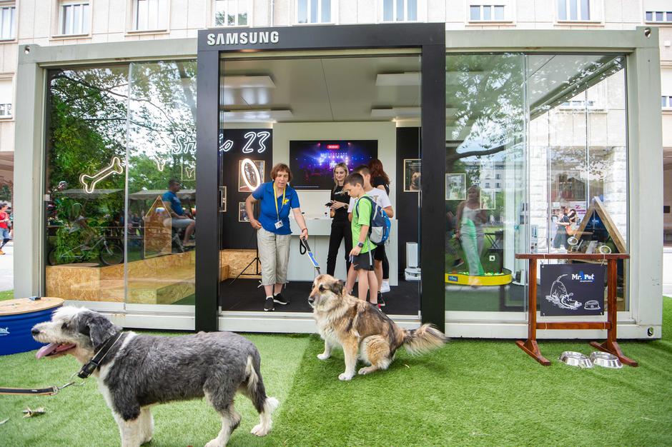 Festival za ljubitelje živali 2023 | Avtor: Anže Petkovšek