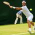 Verdasco Žemlja Wimbledon OP Velike Britanije tenis drugi krog
