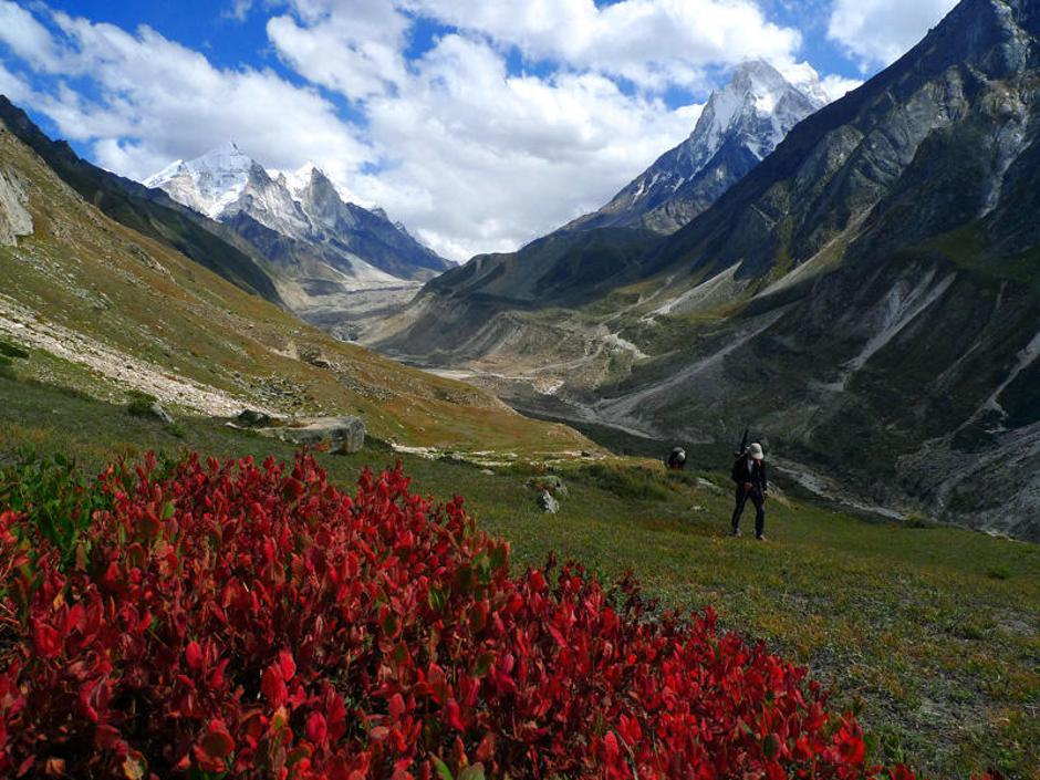  | Avtor: Žurnal24 main