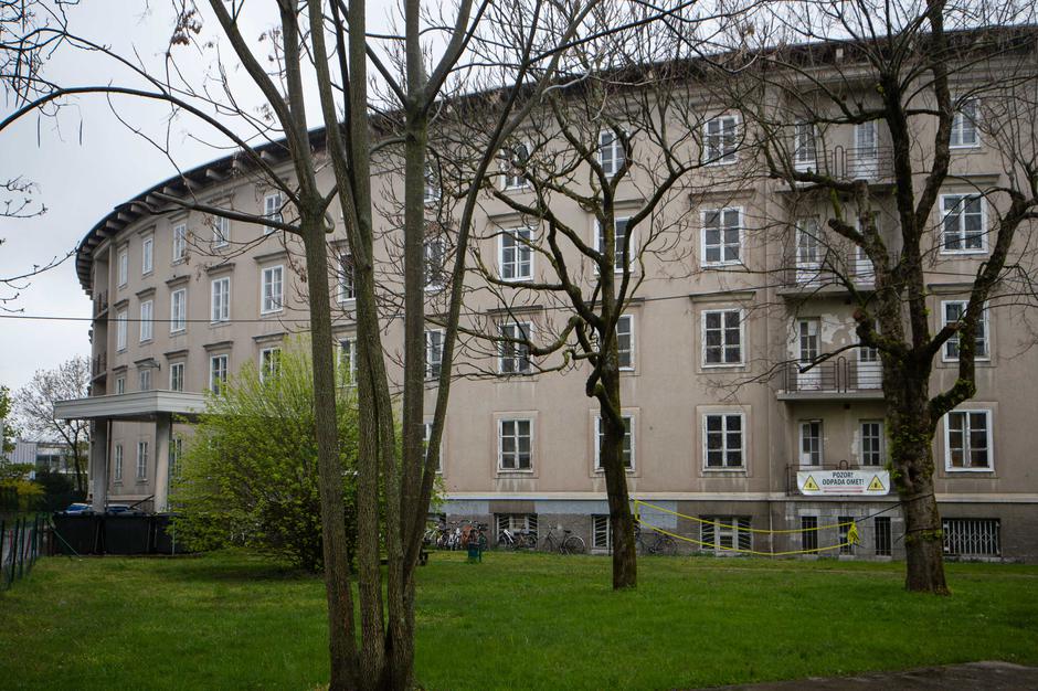 Baragovo semenišče | Avtor: Anže Petkovšek