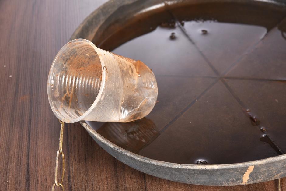 Tigrasti komar | Avtor: Profimedia