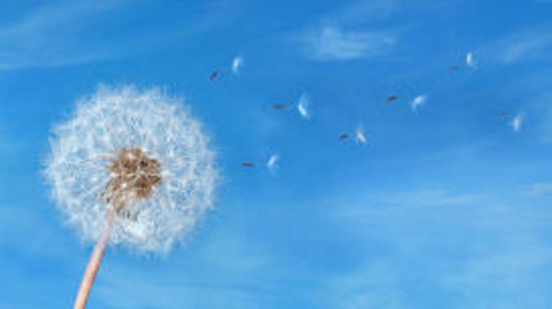 Utrujenost lahko premagate tudi s sanjarjenjem.