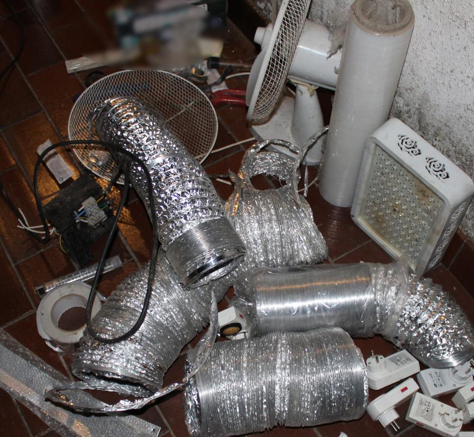 Policisti našli posebej prirejen prostor za gojenje konoplje