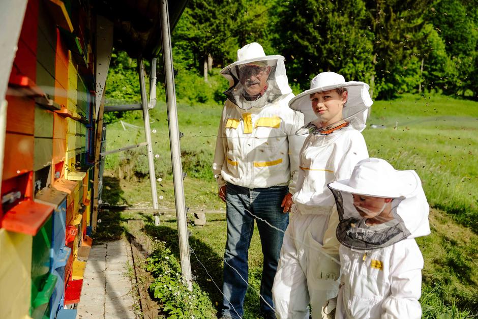 Čepovan med | Avtor: Saša Despot