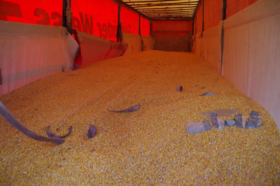 Tihotapil cigarete | Avtor: Policija