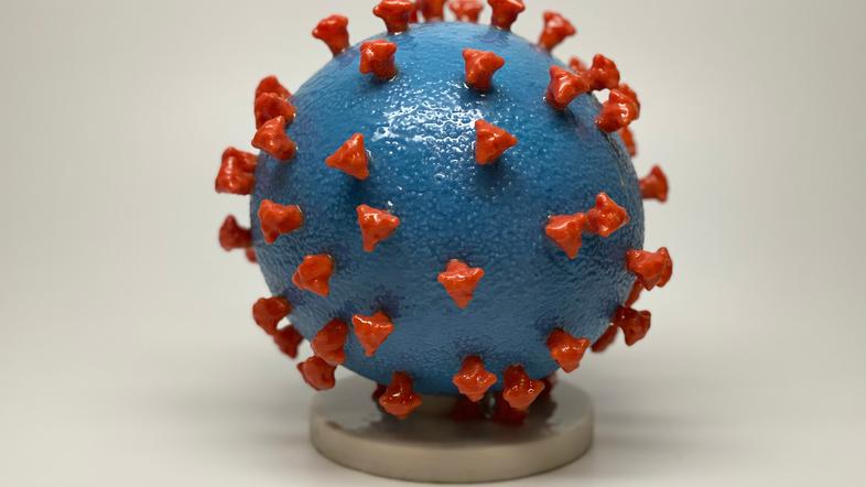 Koronavirus covid-19 laboratorij