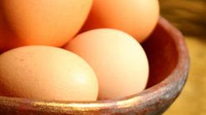 Jajca spadajo med živila z največ holesterola.