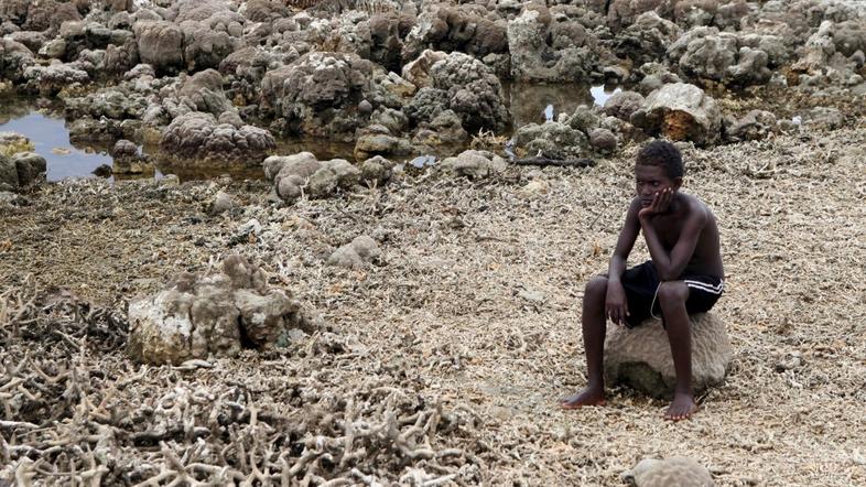 Po potresu na Salomonovih otokih leta 2007.