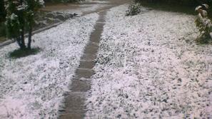 Slovenijo pobelil sneg.