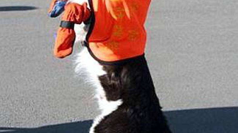 Obuti bodo varnejši!