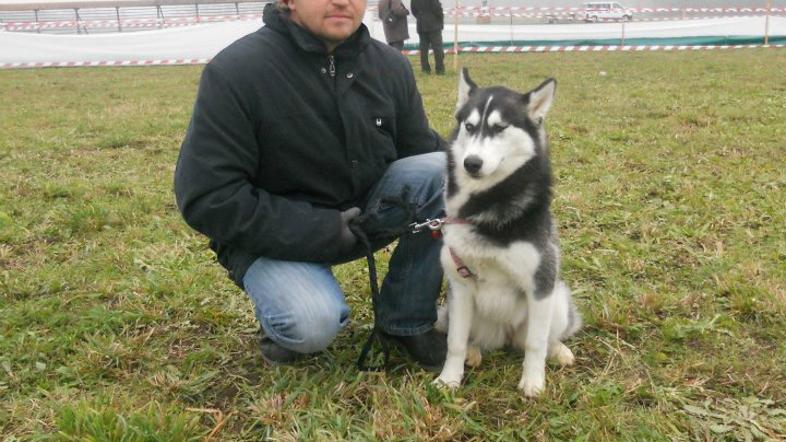 Slovenija 02.12.13, Boris Grobljar, Litijan, profesionalni potapljac na bolniski